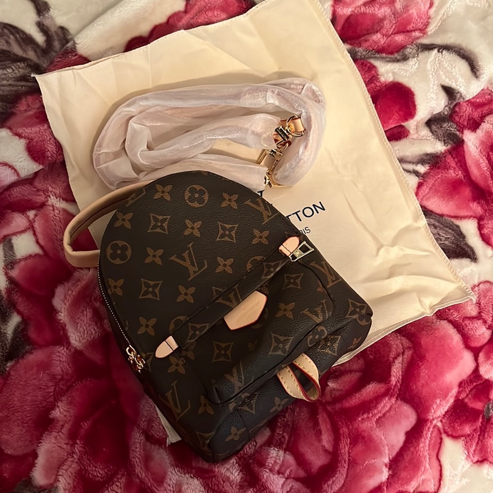 Louis Vuitton Palm Springs Mini